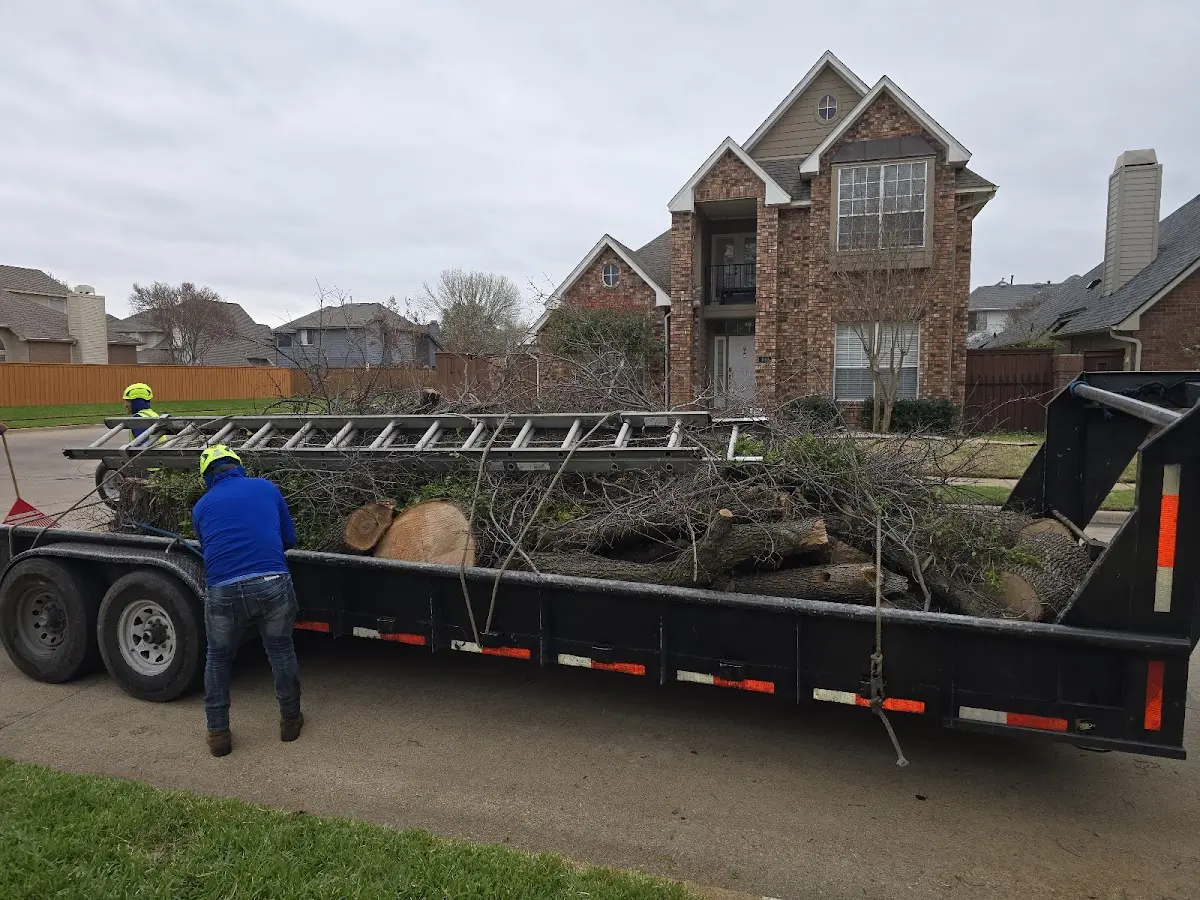 Expert Tree Pest Control with proper safety equipment in Yamhill